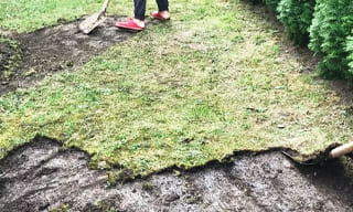 Снятие дерна старого газона в Кирово-чепецке – от 513 руб. | 2Землекопа-Крв